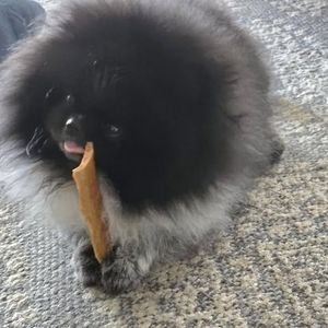 Meet your Posher, Patricia